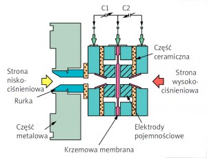 akademia_d