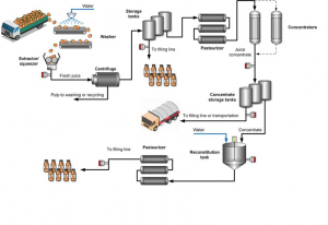 Schemat obrazujący proces przetwórstwa owocowego – produkcja soków